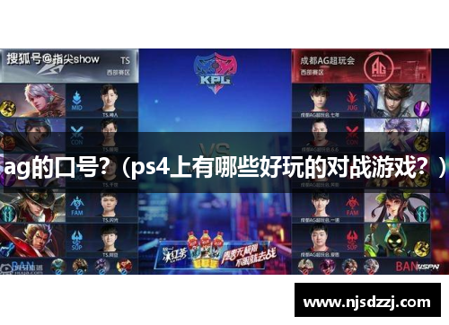 ag的口号？(ps4上有哪些好玩的对战游戏？)