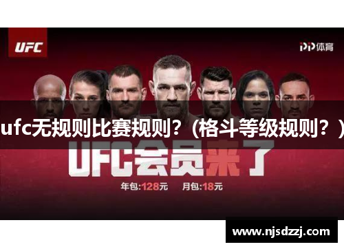 ufc无规则比赛规则？(格斗等级规则？)