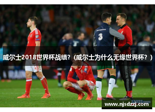 威尔士2018世界杯战绩？(威尔士为什么无缘世界杯？)